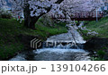Cherry blossom trees on the Kanonji River 139104266