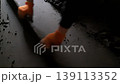 Floor Screeding. A worker's hands doing a floor screed. A man flattening the concrete floor.	 139113352