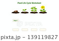 Animated plant life cycle worksheet showing seed, sprout, plant, and flower stages with matching activity. Educational video for kids, ideal for science lessons, classroom use, e learning, and study 139119827