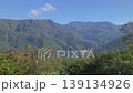 251024 Akiyama-go Maekura Todo Observation Deck 139134926