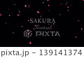 Falling cherry blossom petals on a black background with text | 4K, Japanese style, night cherry blossoms, celebration Falling cherry blossom petals on a black background with text | 4K, Japanese style, night cherry blossoms, celebration 139141374