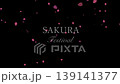 Falling cherry blossom petals on a black background with text | 4K, Japanese style, night cherry blossoms, celebration, 15 seconds Falling cherry blossom petals on a black background with text | 4K, Japanese style, night cherry blossoms, celebration, 15 seconds 139141377