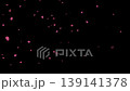 Falling cherry blossom petals, black background, no text | 4K, Japanese style, night cherry blossoms, celebration, 15 seconds Falling cherry blossom petals, black background, no text | 4K, Japanese style, night cherry blossoms, celebration, 15 seconds 139141378