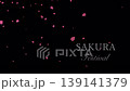 Falling cherry blossom petals on a black background with text | 4K, Japanese style, night cherry blossoms, celebration, 15 seconds Falling cherry blossom petals on a black background with text | 4K, Japanese style, night cherry blossoms, celebration, 15 seconds 139141379