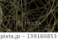 Abstract Skull Formation from Splines and Particles Animation 139160853