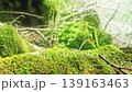 在山路上偶然發現的美麗景色 139163463