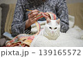 A beautiful white cat with odd-colored eyes sleeps on its owner's lap while she knits. 139165572