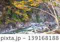 Autumn leaves of Kagawa River 139168188