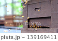 蜜蜂 蜂蜜 蟲子 139169411