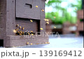 蜜蜂 蜂蜜 蟲子 139169412