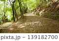宇治　大吉山の登山道 139182700