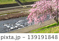 櫻花和河流 139191848