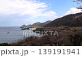 春天的大海，櫻花盛開，美不勝收。 139191941