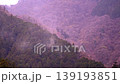 山間部から花粉が舞う 139193851