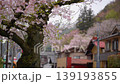 檜原村の桜 139193855