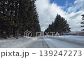 POV Driving on Icy Winter Road Through Pine Forest in Tomamu Hokkaido Japan 139247273