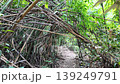 Forest trails in the tropical rainforest. Saraburi Province, Thailand. 139249791