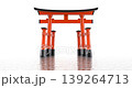 Camera passes through the japanese torii gate with side pillars over wavy reflective background - 3D animation 139264713