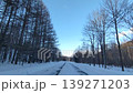 北海道的冬季小徑 139271203