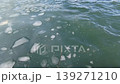 冰封的海面 139271210