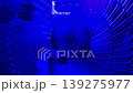 Fan turbine behind a blue surface.  139275977