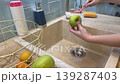 A young vegan washes garden apples under the tap in a sunny kitchen, brushing each one thoroughly while practicing safe food habits. 139287403