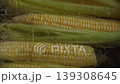 Top view of boiling corn in pot on kitchen stove 139308645