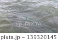 powerful river current with white water ripples and bubbles. Natural flowing water stream, fast moving river surface, and liquid texture in organic environment, ideal for nature concepts 139320145
