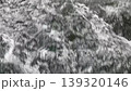powerful river current with white water ripples and bubbles. Natural flowing water stream, fast moving river surface, and liquid texture in organic environment, ideal for nature concepts 139320146