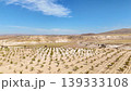 Aerial top-down flyover of organized grapevine rows in a large vineyard 139333108