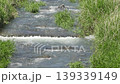 River flow 139339149