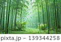 beautiful bamboo forest stage background 139344258