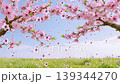 springtime brings the revival of all things and the blooming of peach blossoms 139344270
