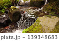 Ogawa Waterfall 139348683