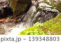 Ogawa Waterfall 139348803