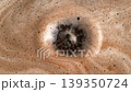 Espresso dripping slowly from a commercial espresso machine portafilter creating a steady stream of dark rich liquid perfect for high end coffee shop marketing and culinary projects 139350724