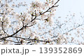 Up of cherry blossoms 139352869