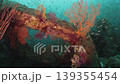 The contrast between the concrete structure of a giant artificial reef (pyramid) submerged on the seabed and the light. 139355454
