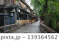 新緑の祇園白川巽橋から切通し 139364562