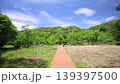 Spring in the Koajiro Forest of the Miura Peninsula 139397500