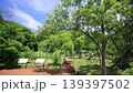Spring in the Koajiro Forest of the Miura Peninsula 139397502
