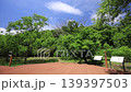 Spring in the Koajiro Forest of the Miura Peninsula 139397503