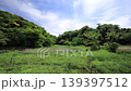 Spring in the Koajiro Forest of the Miura Peninsula 139397512