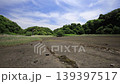 Spring in the Koajiro Forest of the Miura Peninsula 139397517