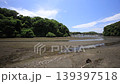 Spring in the Koajiro Forest of the Miura Peninsula 139397518