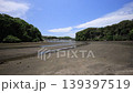 Spring in the Koajiro Forest of the Miura Peninsula 139397519