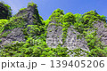 Ajima Tadai 139405206