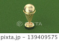 Golden football trophy cup on a green grass field 139409575