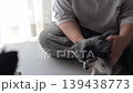A pet dog playing with a woman - Chihuahua 139438773