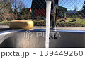stream of cold water flows from the tap 139449260